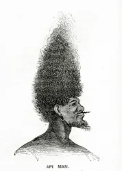 Api Man, illustration de Appletons Journal, 4 mai 1872
