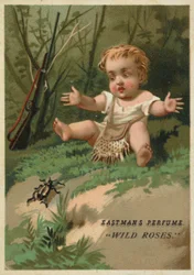 Bébé dans les bois