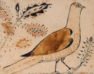 Oiseau