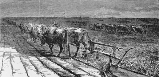 Briser la prairie, illustration de 