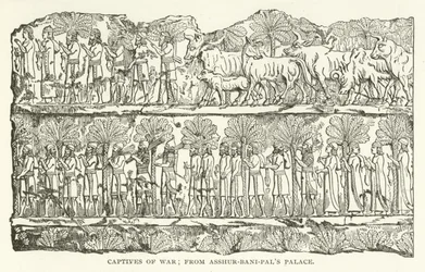 Captifs de guerre; du palais d
