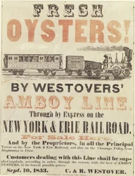 Huîtres fraîches! Par Westovers Amboy Line, par express sur le New York & Erie Railroad, 10 septembre 1853