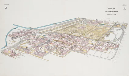 Vue générale des abattoirs de Chicago