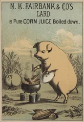 Cochon cuisinant du maïs pour faire du lard