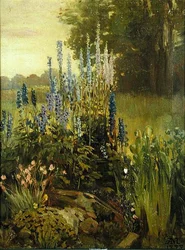 Rose trémière