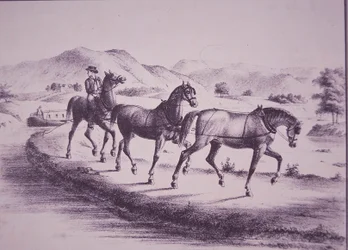 Chevaux tirant un bateau sur le canal Érié (gravure)
