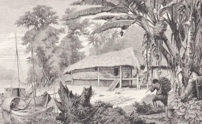 Maison d