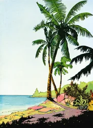 Illustration de la plage paradisiaque avec des palmiers
