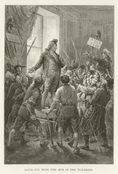 Louis XVI avec la foule aux Tuileries