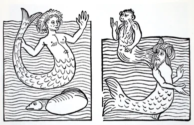 Sirènes et tritons, du Guide mondial des gnomes, fées, elfes et autres petits peuples de Thomas Keightley (1789-1872) publié en 1880
