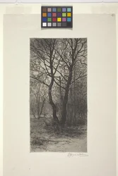 Jardin du palais de Nymphenburg, près de Munich