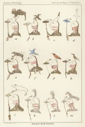 Sous-chefs Oglala