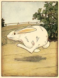 Pierre ne cessa de courir, du Conte de Pierre Lapin, pub. 1916 lithographie en couleur, 1916