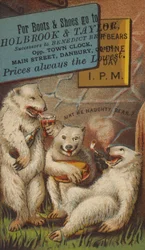 Ours polaires buvant et fumant