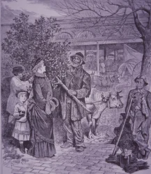 Vente de sapins de Noël à Richmond, Virginie