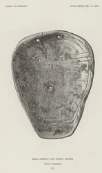 Gorget en coquillage - La figure humaine
