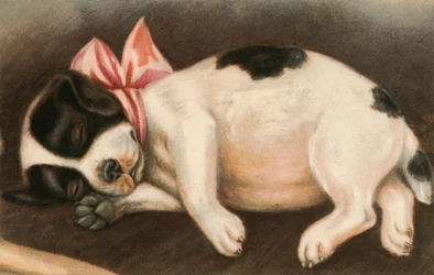 Chiot Pointer endormi portant un nœud rose