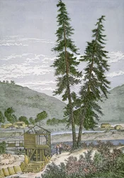 Moulin de Sutter