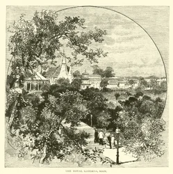 Les jardins royaux, Siam