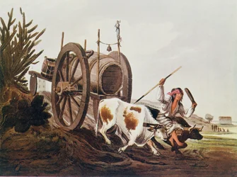 Chariot d