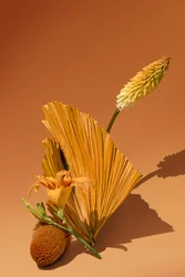 Ikebana 02, 2018 (photography)