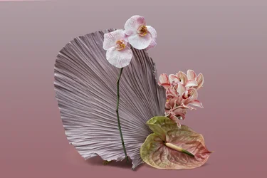 Ikebana 12, 2018 (photography)