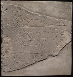 Fragment d