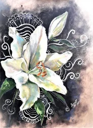 Élégante fleur de lys blanche