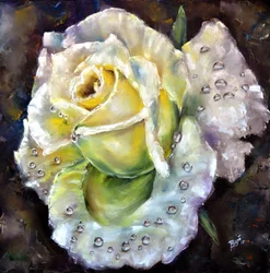 Rose fraîche et éclatante