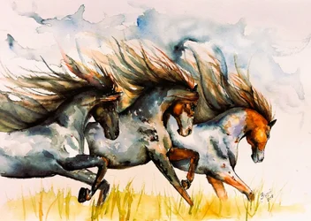 Les chevaux de l