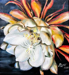 La reine de la fleur nocturne