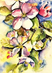 Fleurs de pommier au printemps