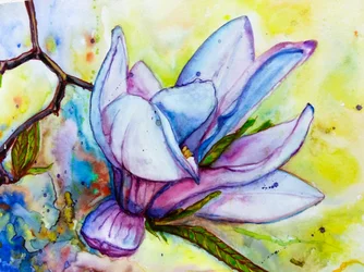 Une fleur de magnolia éclatante