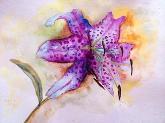 Fleur de lys tachetée aux couleurs vives