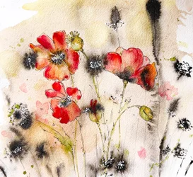 Aquarelle de pavot sauvage