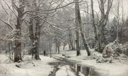 Dégel dans une forêt de hêtres