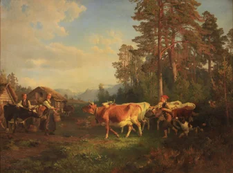 Bovins sur le chemin du retour