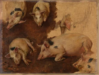 Étude de six cochons