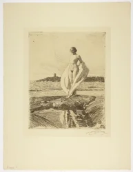 Le Cygne