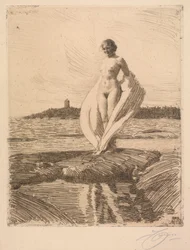 Le cygne