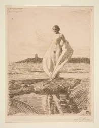 Le Cygne