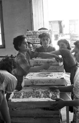 RAISINS AMERS - EMBALLAGE DE MARQUE