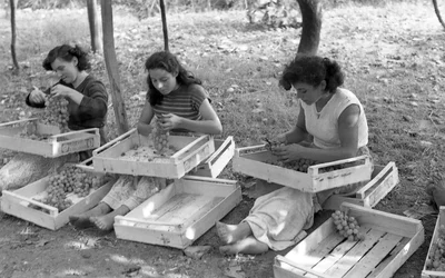 RAISINS AMERS - LES SOUDEURS AU TRAVAIL