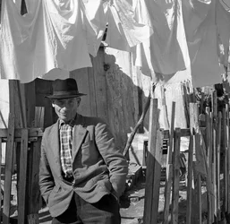 CROTONE - PORTRAIT D