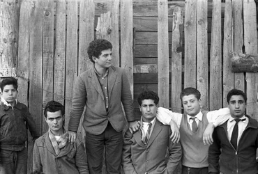 CROTONE - THE SUM FENCE
