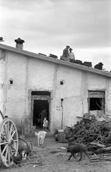CAMPAGNE DE CROTONE - UN TOIT AU-DESSUS DE VOTRE TÊTE,