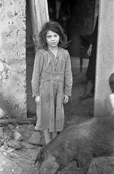 CAMPAGNE DE CROTONE - FILLE ET COCHON