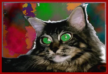 STREGATTONE, 2004 (peinture numérique)
