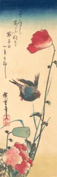Un oiseau bleu et des coquelicots, 1832-34