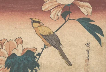 Hibiscus Mutabilis et Geai, ca. 1840